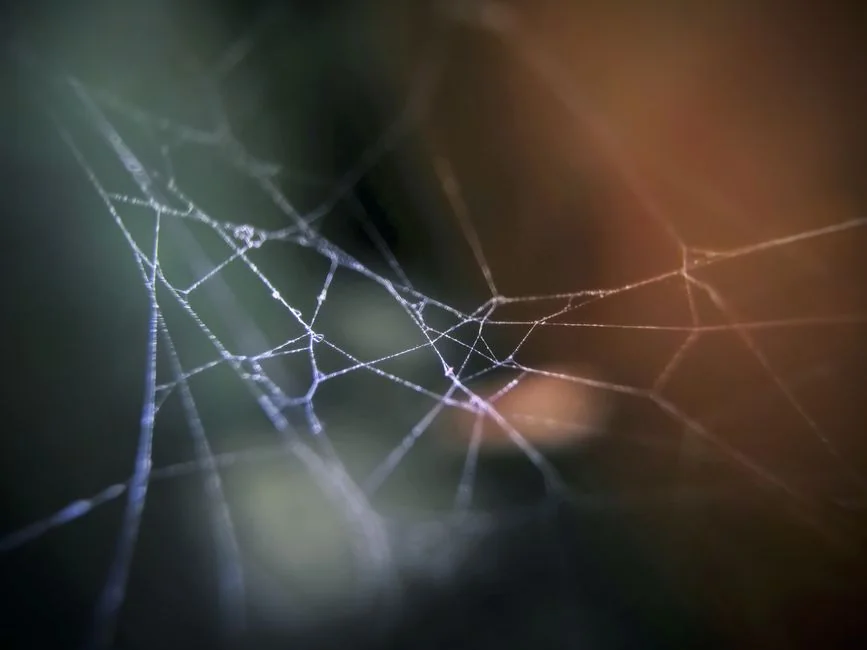 Close-up of hands interacting with a shopping website on a laptop screen indoors.